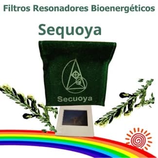 Filtros