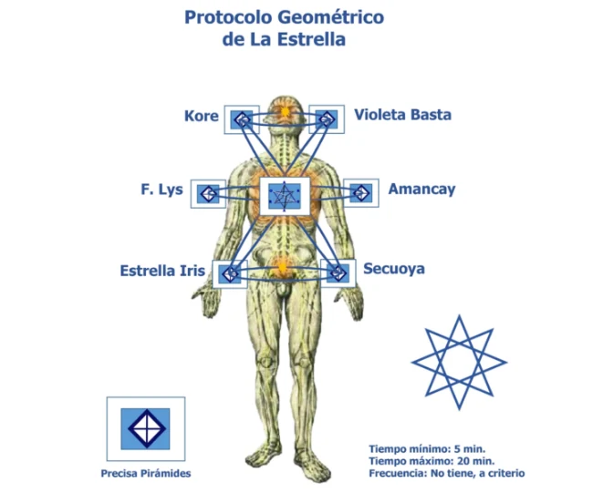 Ilustración del contenido
