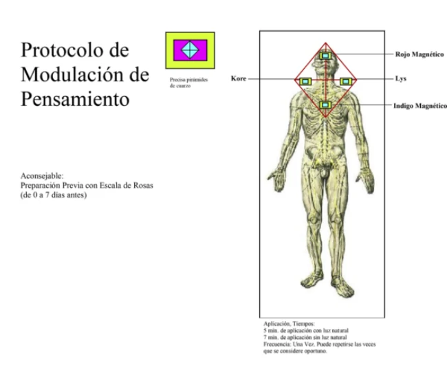 Ilustración del contenido